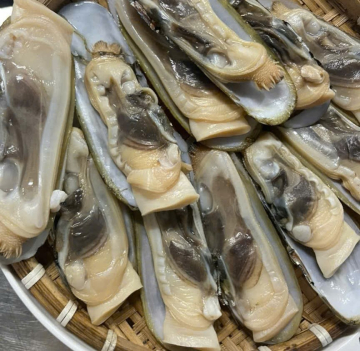 ỐC MÓNG TAY CHÚA NC - A - SIZE 10/20 - XK - BULK - THÙNG 13,6KG (NET) - NET 90%