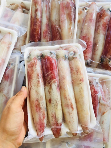 MỰC ỐNG XẾP KHAY - A - NĐ - SIZE 13/19 - KHAY 500GR - NET 10