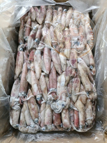 MỰC ỐNG SỐ 6.5 CK - NĐ - BLOCK - CÂN KG/THÙNG - NET 10
