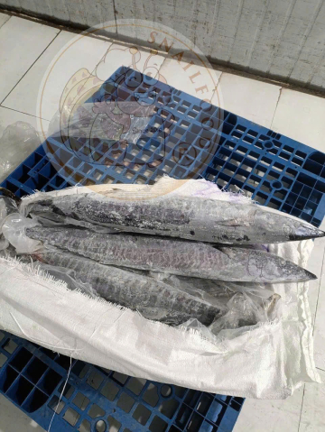 CÁ THU ĐEN NC - A - NĐ - SIZE 3KG UP - NET 10