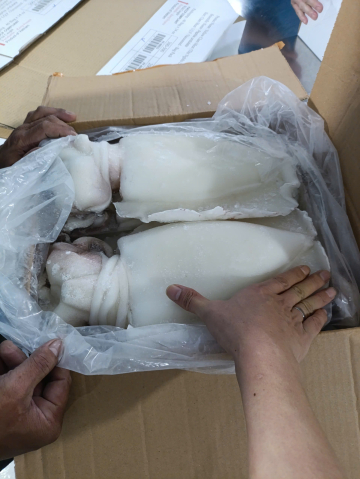 MỰC NANG LỘT - A - THÙNG 10KG - NET 80%