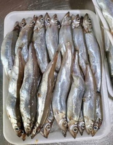 CÁ TRỨNG NC - THÙNG 9KG