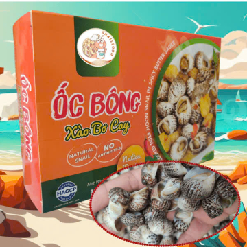 ỐC BÔNG XÀO BƠ CAY - A - XK - THÙNG 17 HỘP - NET 8